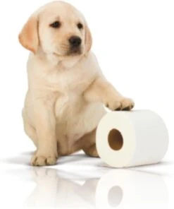 Page Toiletpapier - 32 Rollen - Kussenzacht Wc Papier (3-laags) - Voordeelverpakking -Huishoudelijke Artikelen Winkel 1001x1200 3