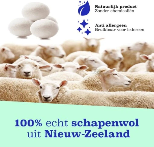 Casa Calma Drogerballen (6 Stuks) - Inclusief Opbergzakje - 100% Natuurlijk Schapenwol - Droger Ballen - Zero Waste Wasverzachter Bollen - Energiebesparend Drogen Met Droogbollen - Dryer Balls - Diervriendelijk & Milieuvriendelijk - Energie Besparen - Afbeelding 2