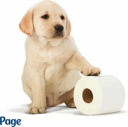Page Toiletpapier - Eco - Duurzaam - 24 Rollen - Voordeelverpakking - Afbeelding 5
