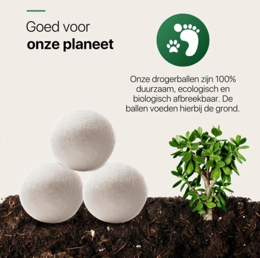 Tenify 6 XL Drogerballen + Extra Lavendel Olie - Wasbollen - Duurzaam - Schaapswol - Wasverzachter - Wasdrogerballen - Herbruikbare Droogballen - Energie Besparen - Afbeelding 8