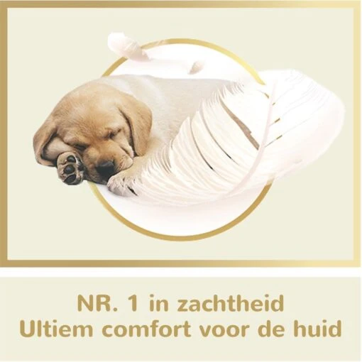 Page Puur Toiletpapier - 24 Rollen - Extra Duurzaam Wc Papier - Voordeelverpakking - Afbeelding 3