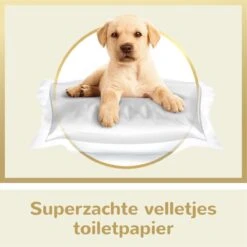Page Puur Toiletpapier - 24 Rollen - Extra Duurzaam Wc Papier - Voordeelverpakking -Huishoudelijke Artikelen Winkel 1200x1200 1846