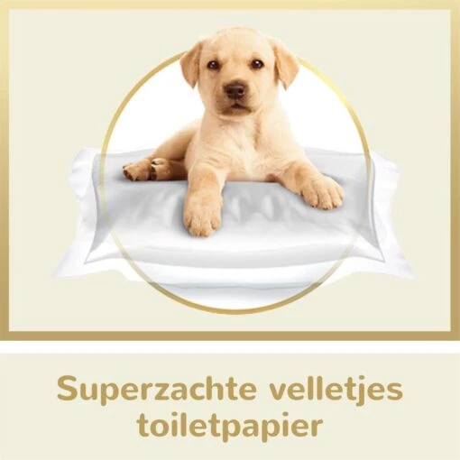 Page Puur Toiletpapier - 24 Rollen - Extra Duurzaam Wc Papier - Voordeelverpakking - Afbeelding 5