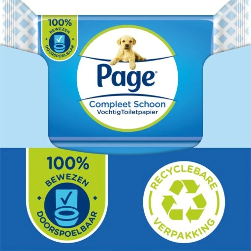 Page Vochtig Toiletpapier - 12 X 38 Stuks - Compleet Schoon Vochtig Wc Papier - Voordeelverpakking
