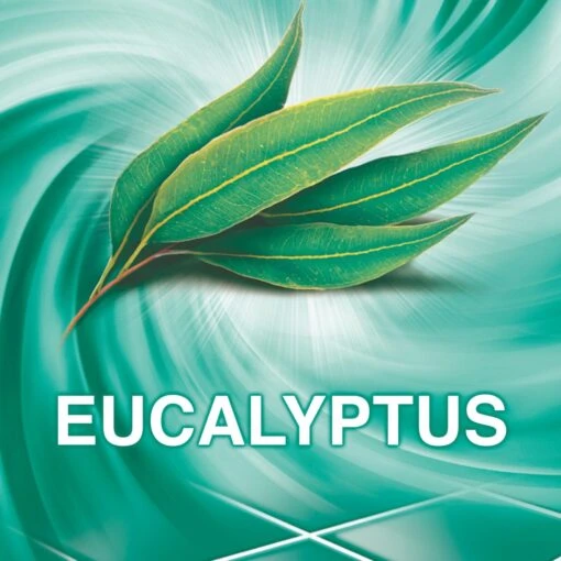 Ajax® Ajax Allesreiniger Eucalyptus 6 X 1.25L - Voordeelverpakking - Afbeelding 5