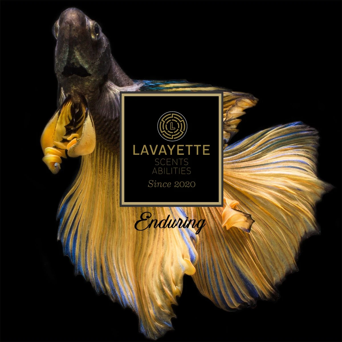 Lavayette Premium Wasparfum - Proefpakket 9x25ml - Geurbooster - Afbeelding 8