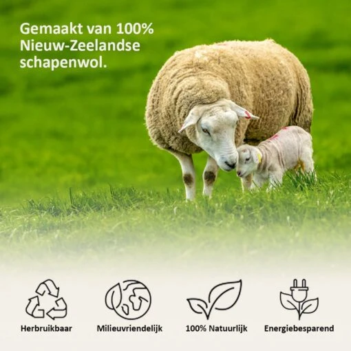 Droger Ballen Wol - Wasdroger Herbruikbare Wollen Droger Ballen - Droogballen Voor Snellere Droogtijd- Set 6 Stuks - Swilix - Afbeelding 2