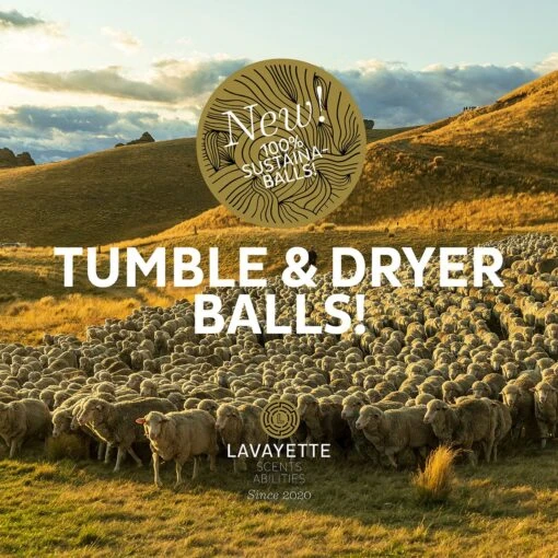 Lavayette XL Drogerballen Met 25ml Wasparfum - WasdrogerBallen – Droogballen – Wasbol – 100% Nieuw-Zeelands Schapenwol – Milieu- En Diervriendelijk – 6 Stuks - Afbeelding 5