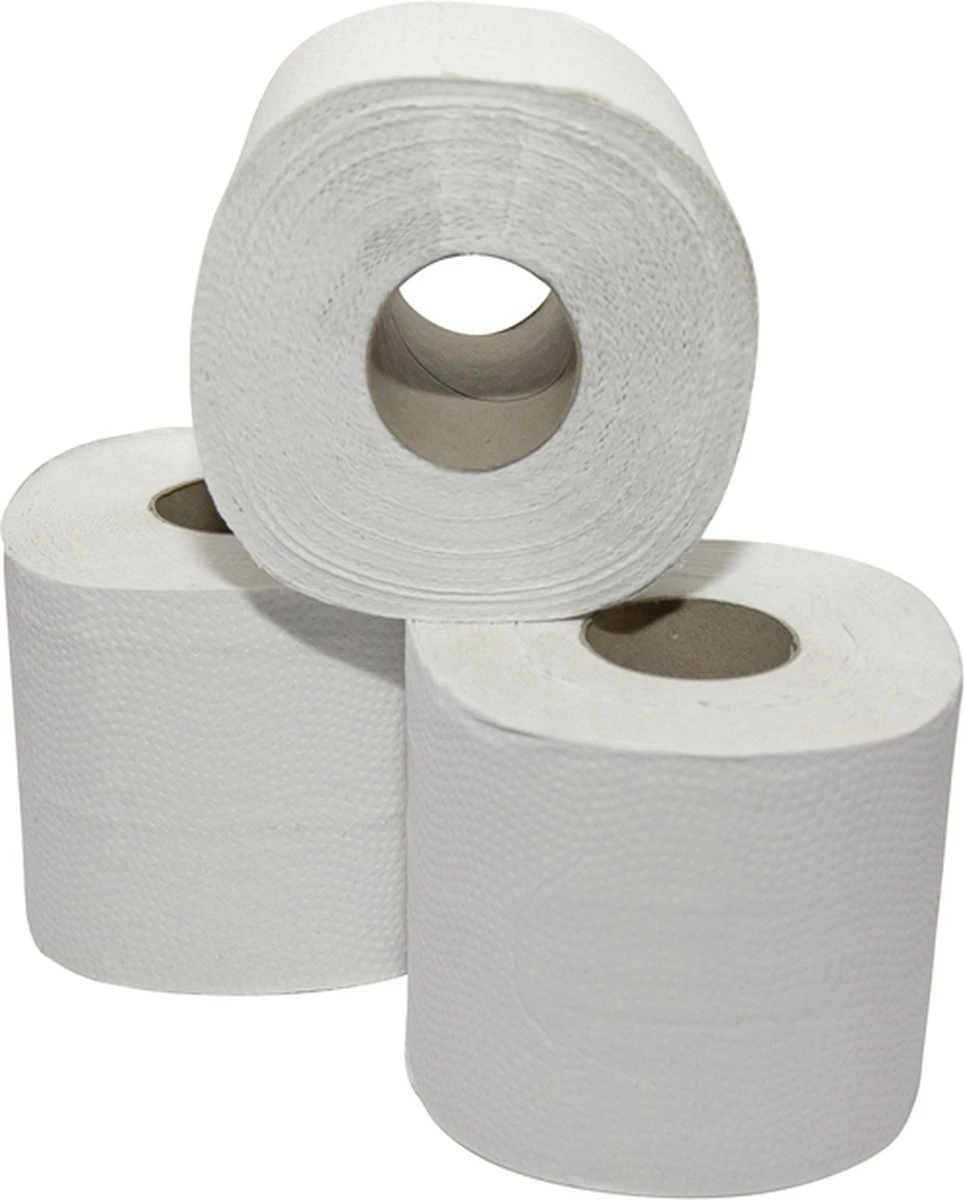 Toilet/WC Papier 2-laags - Recycled - Wit - 10 X 4 Rollen - Afbeelding 2