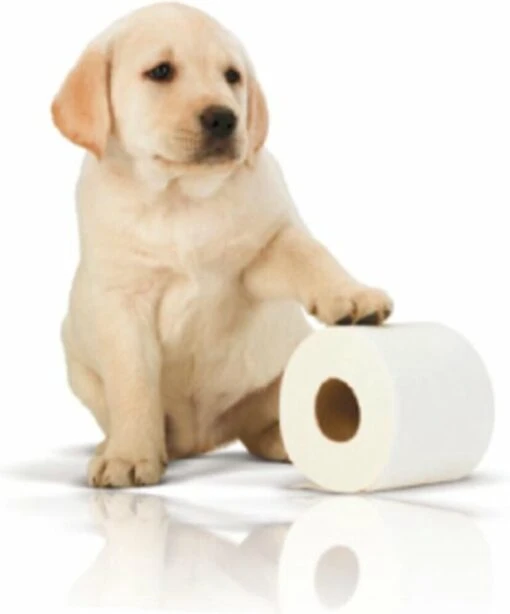 Page Toiletpapier - Eco - Duurzaam - 24 Rollen - Voordeelverpakking - Afbeelding 2